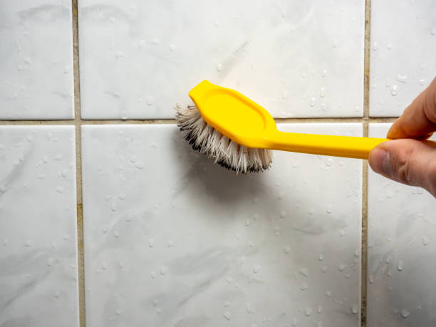 Best Mold Testing and Inspection Services in Campbell, OH