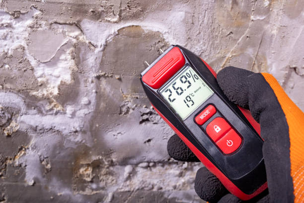 Best Mold Remediation for Schools in Campbell, OH